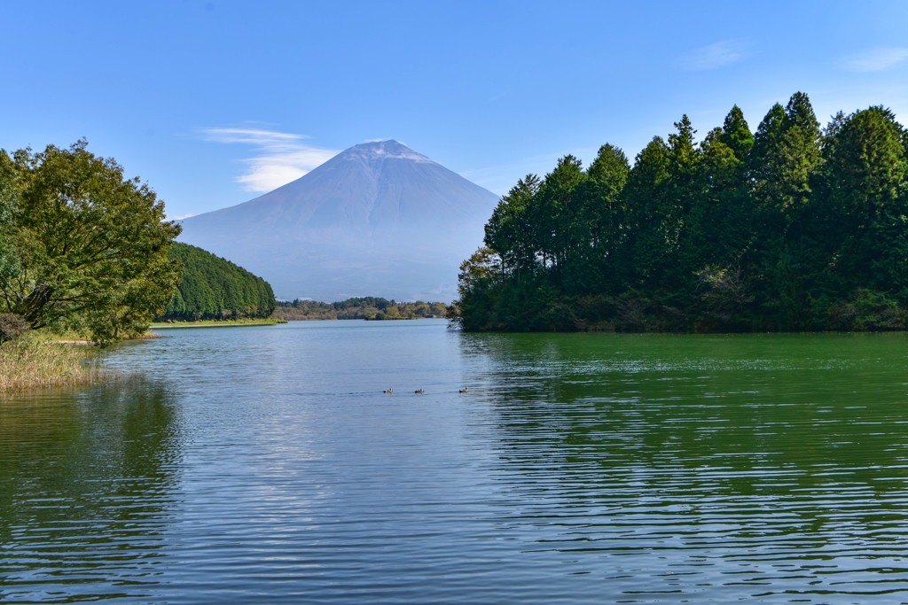 田貫湖からの富士山