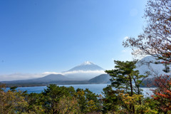 秋の彩り