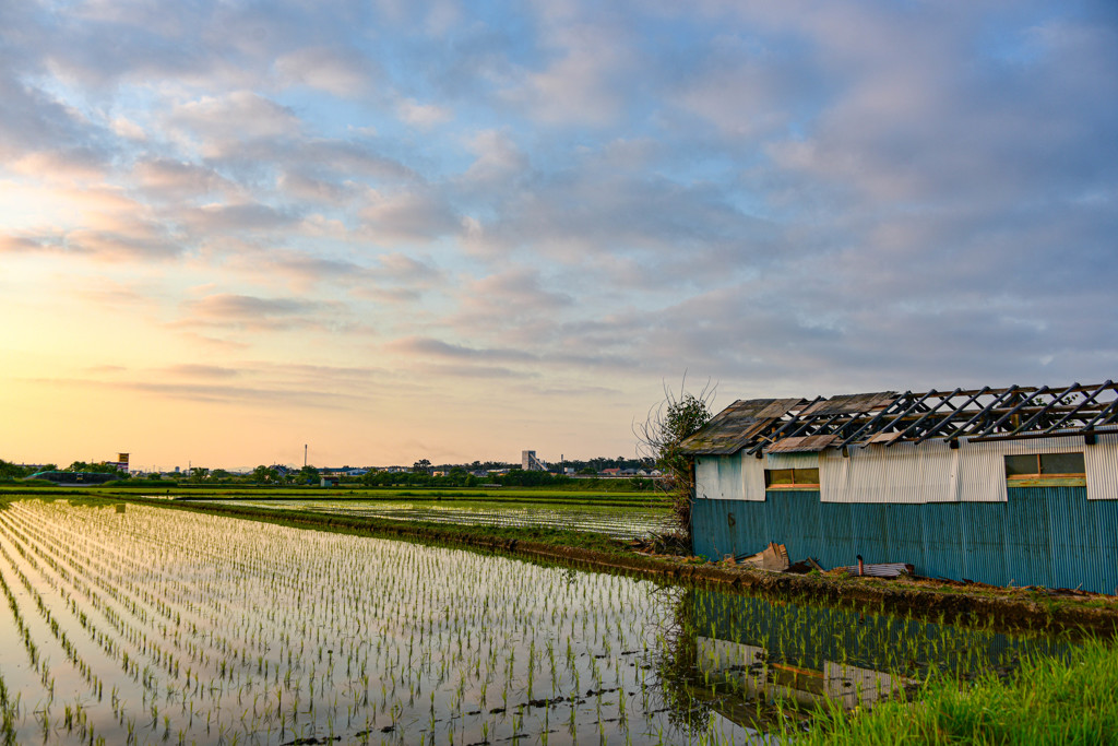 忘れ去られた小屋