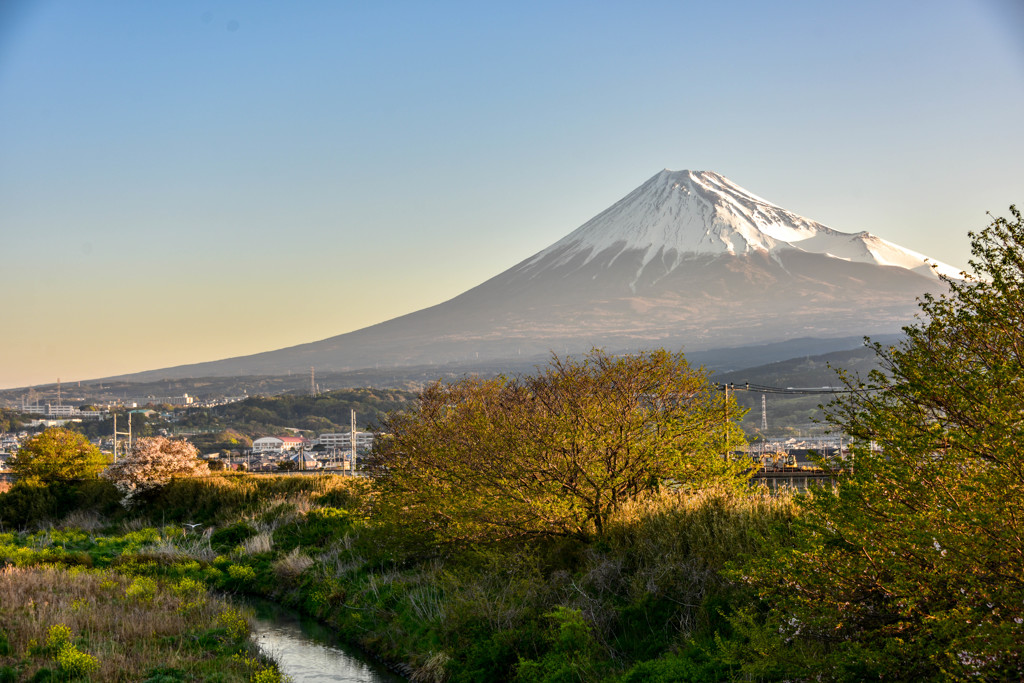 夜明けの富士山