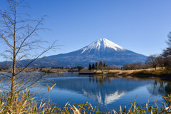 田貫湖から見た富士山