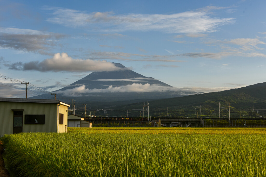 移り行く風景