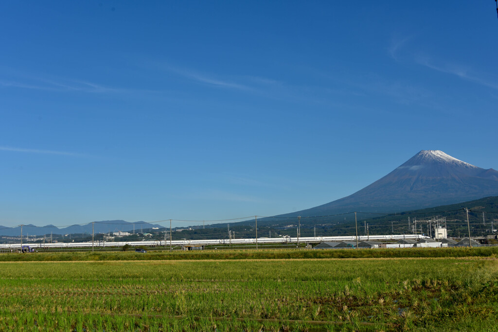 旅立ち