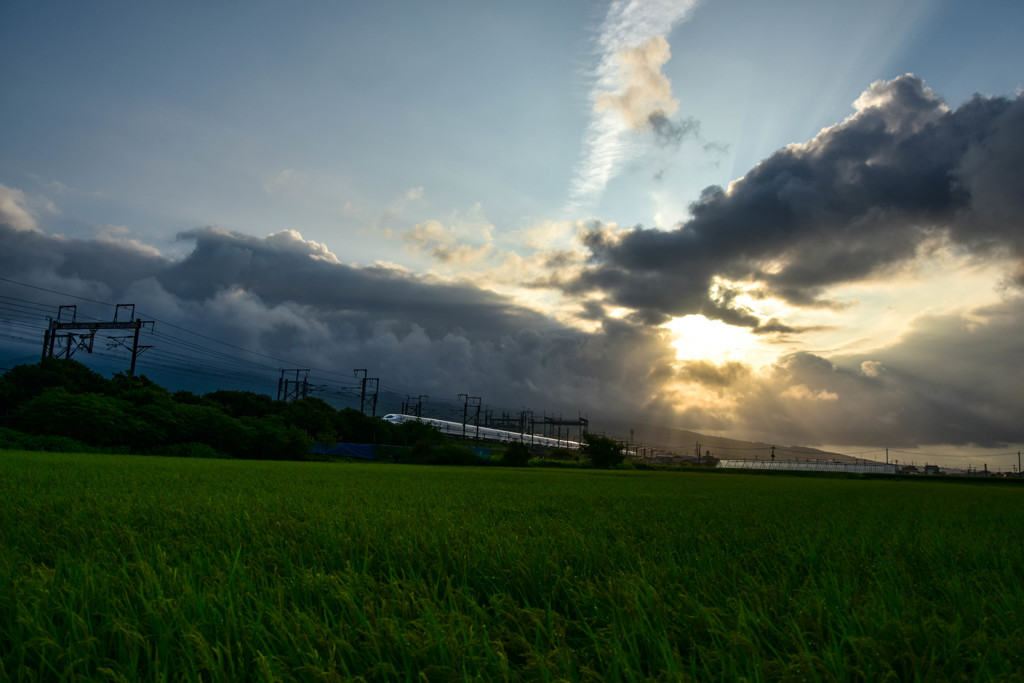 朝日のトンネルを抜けて