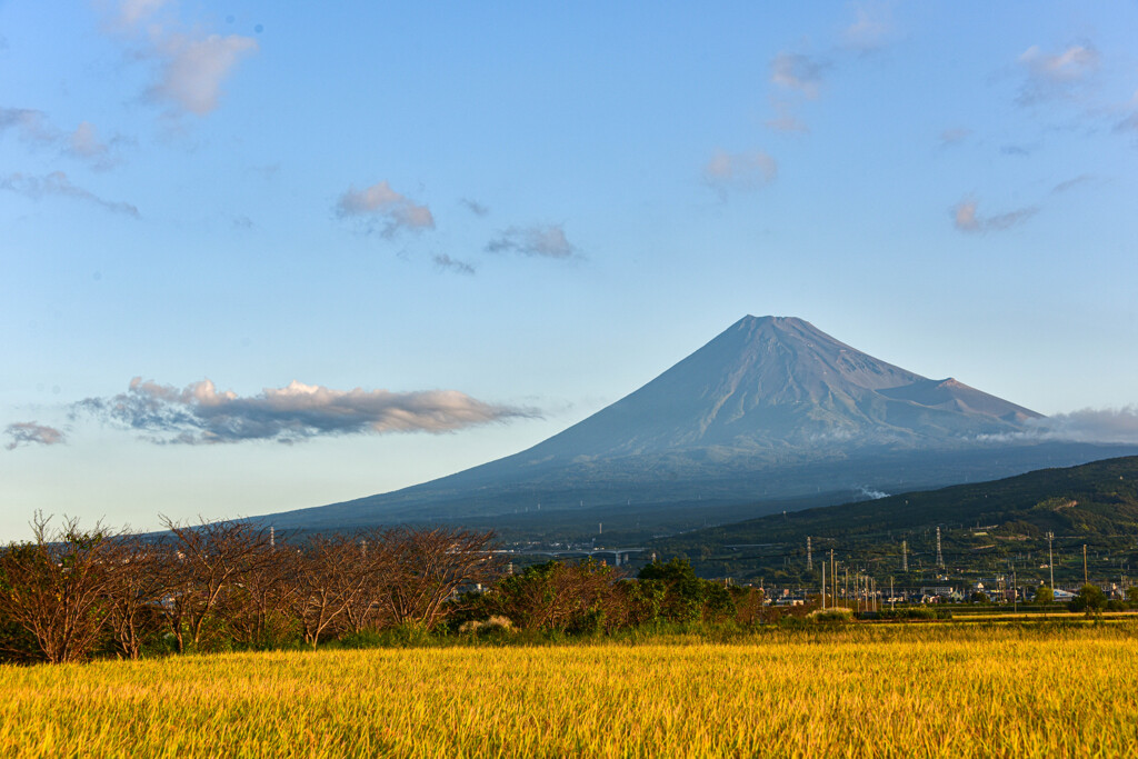 秋の風景