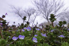君たちの出番が来たね(^^♪