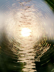 蜘蛛の巣のタイムトンネル