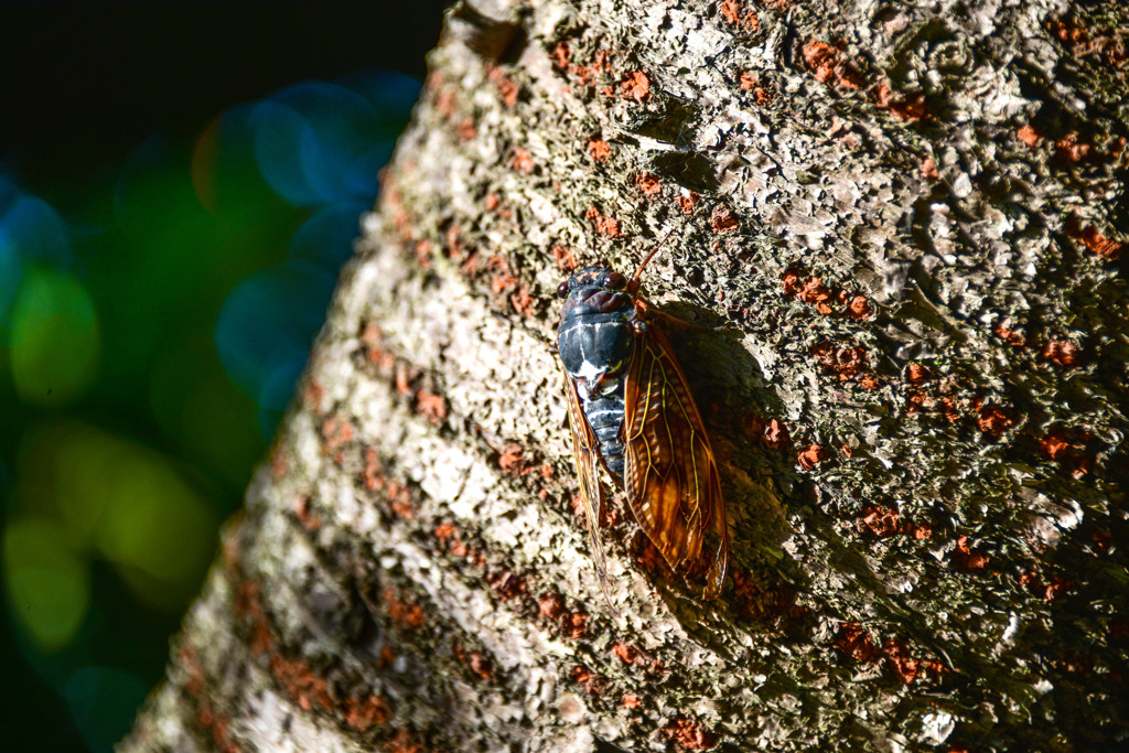 一周間がんばるよ～♪
