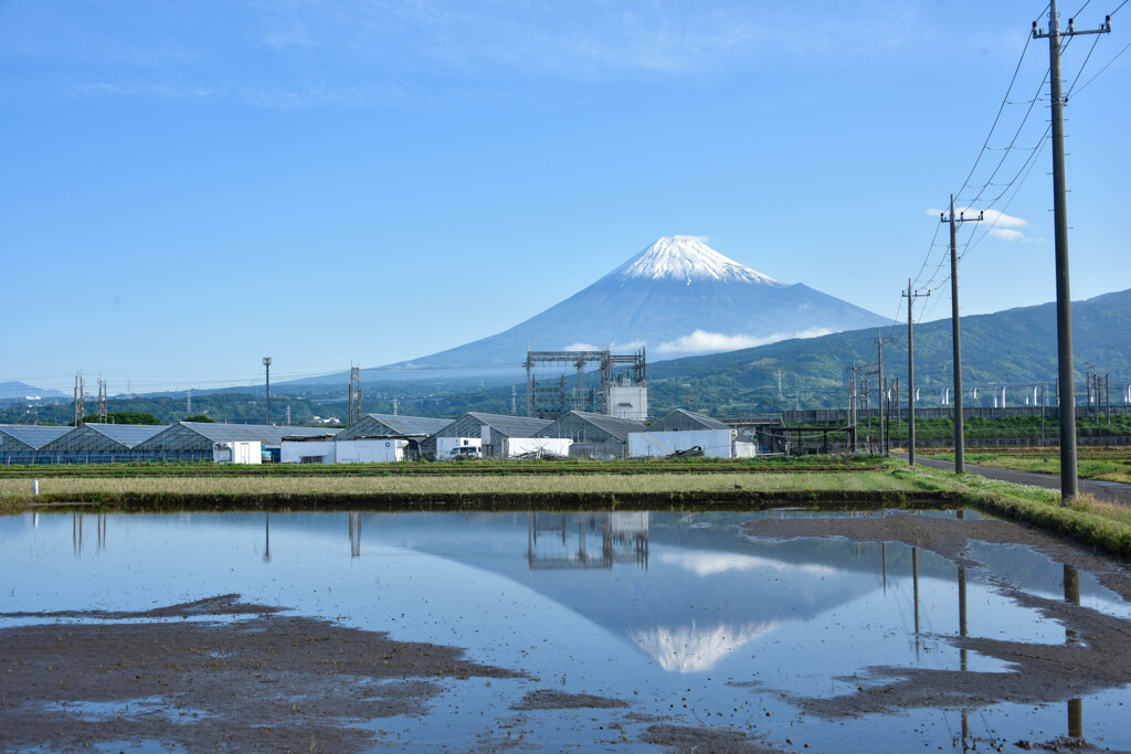 雨上がりの逆さ富士