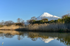 真っ白富士山