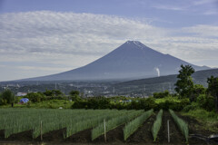 富士山