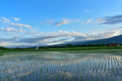 清々しいすいでん