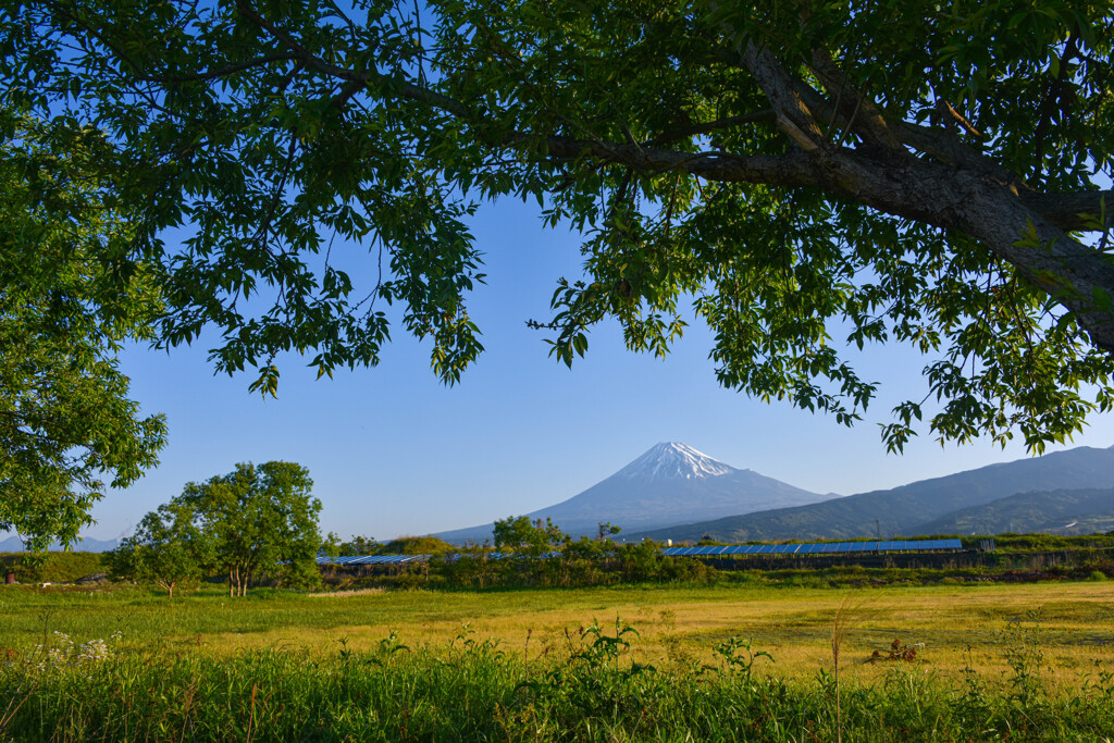 初夏の窓