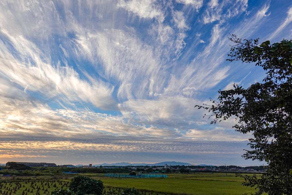 秋の空