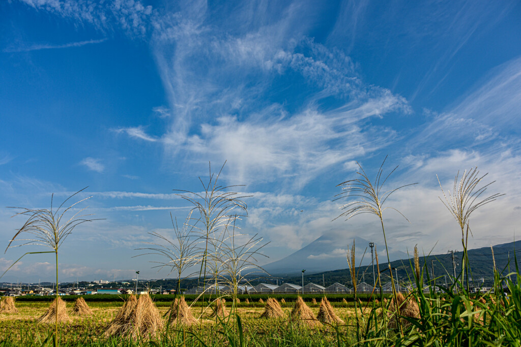 秋の空