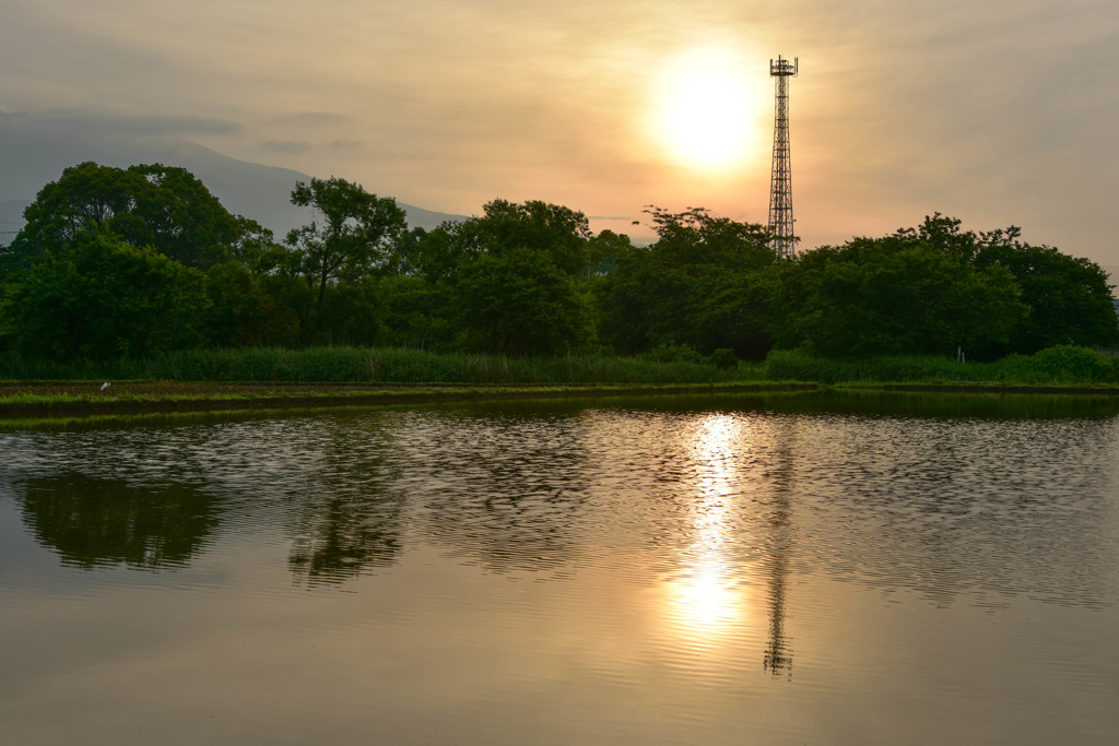 田植え前の水田