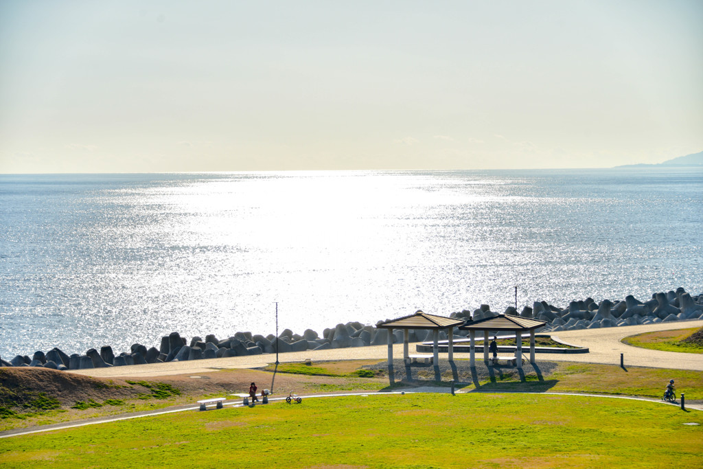 海の公園