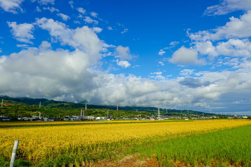 秋日和