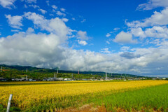 秋日和