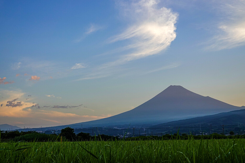 夏の朝