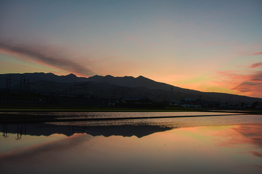朝焼け写す水田