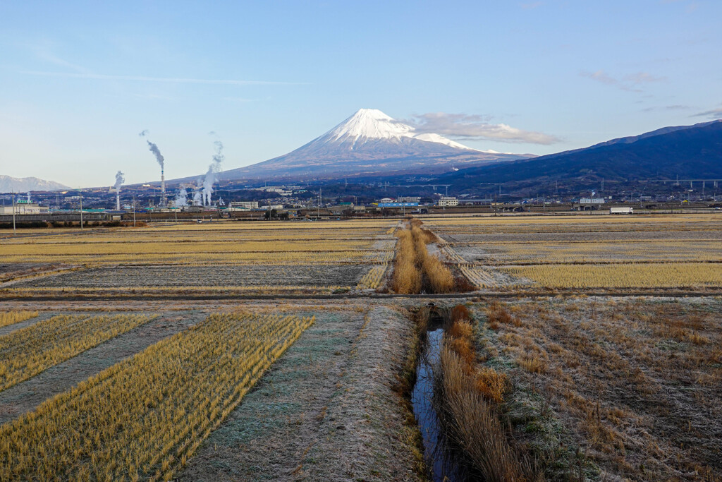 冬風景