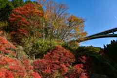 紅葉と須津大橋