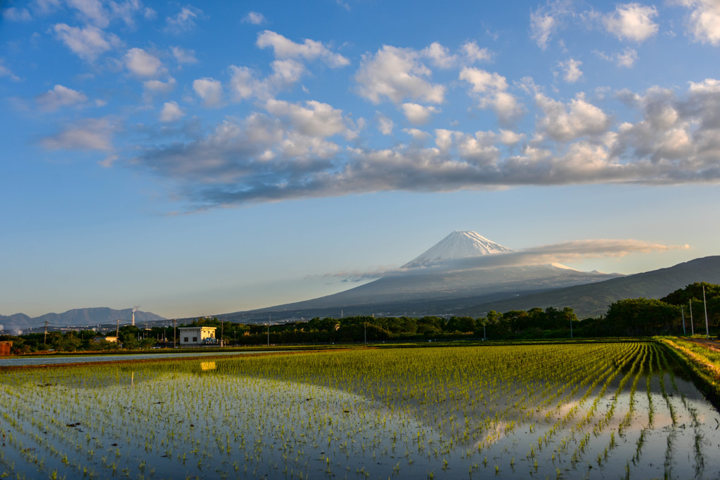 富士山２