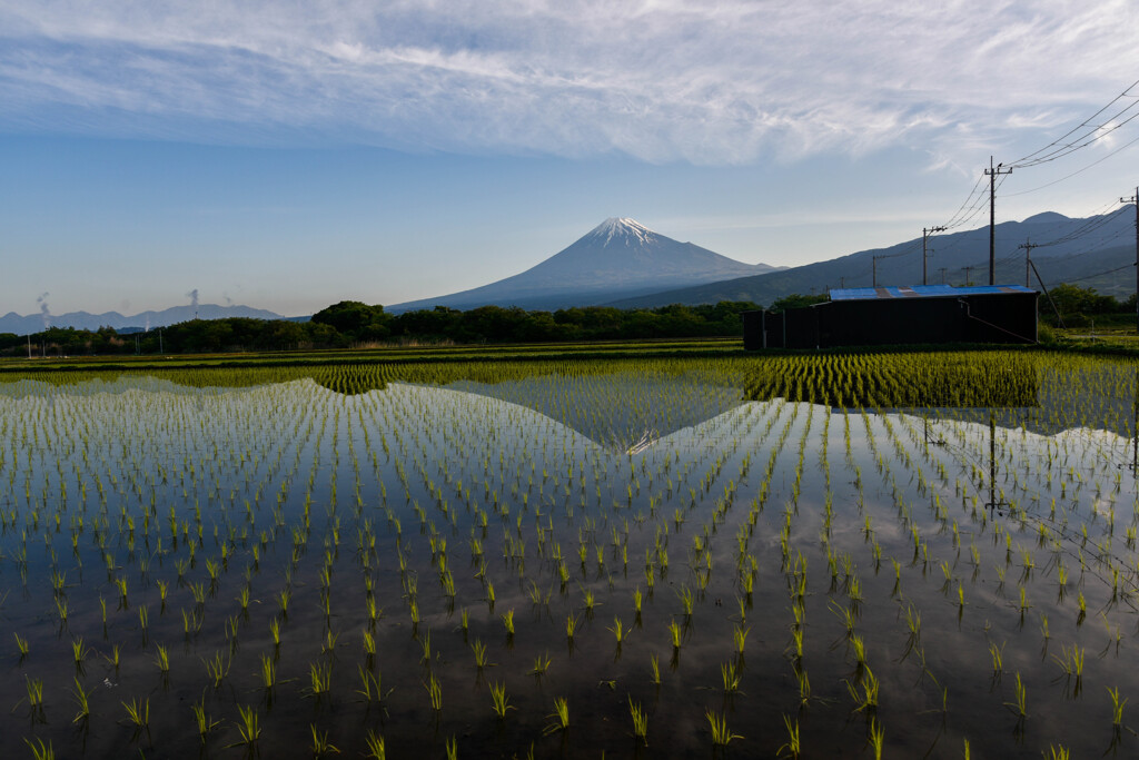 初夏の風景