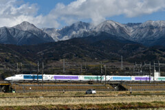 愛鷹山も雪が積もった