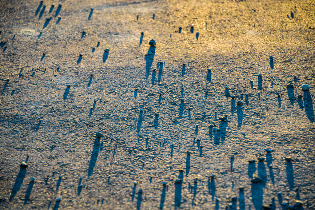 僕たちの夜明け