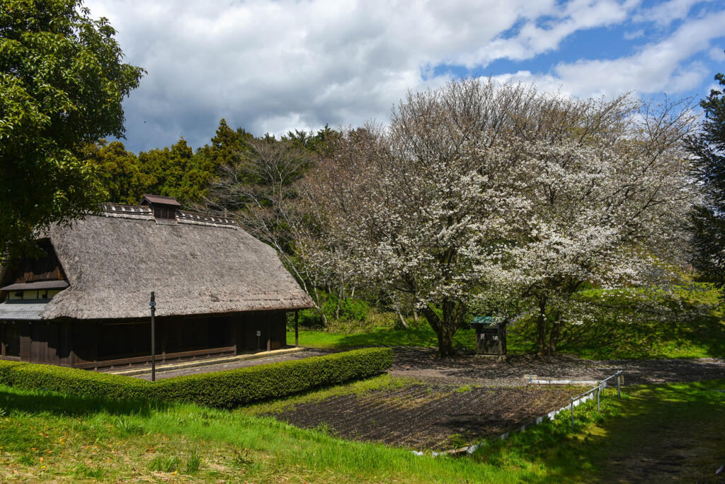 穏やかな風景