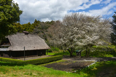 穏やかな風景