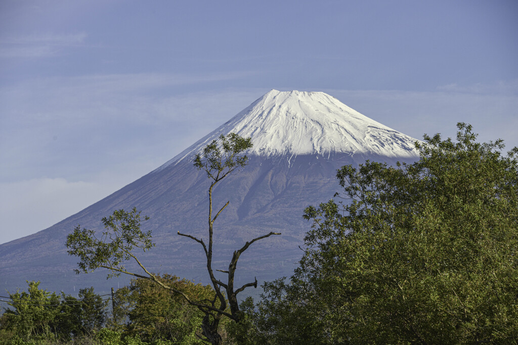 パッツン富士山