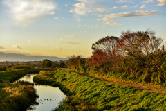 散歩の風景
