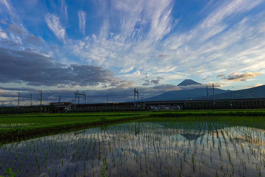 田んぼと富士山