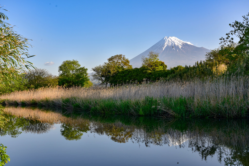 岸辺の衣替え