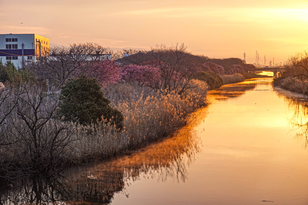 流れていく時