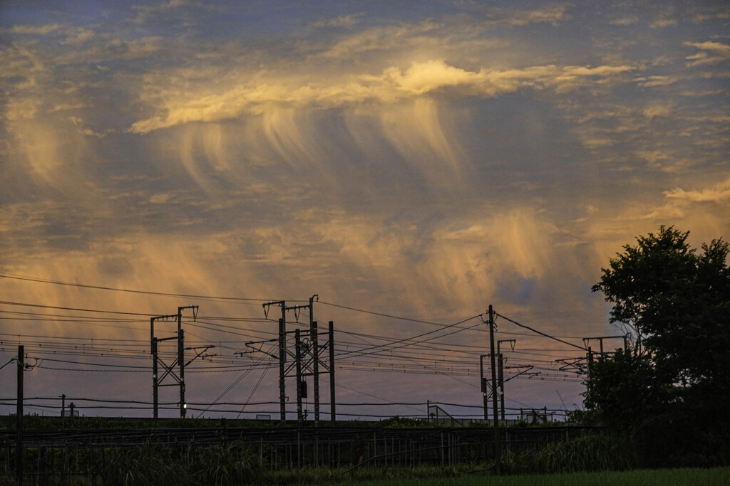 クラゲのような雲