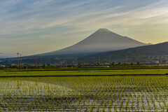 いつかの富士山