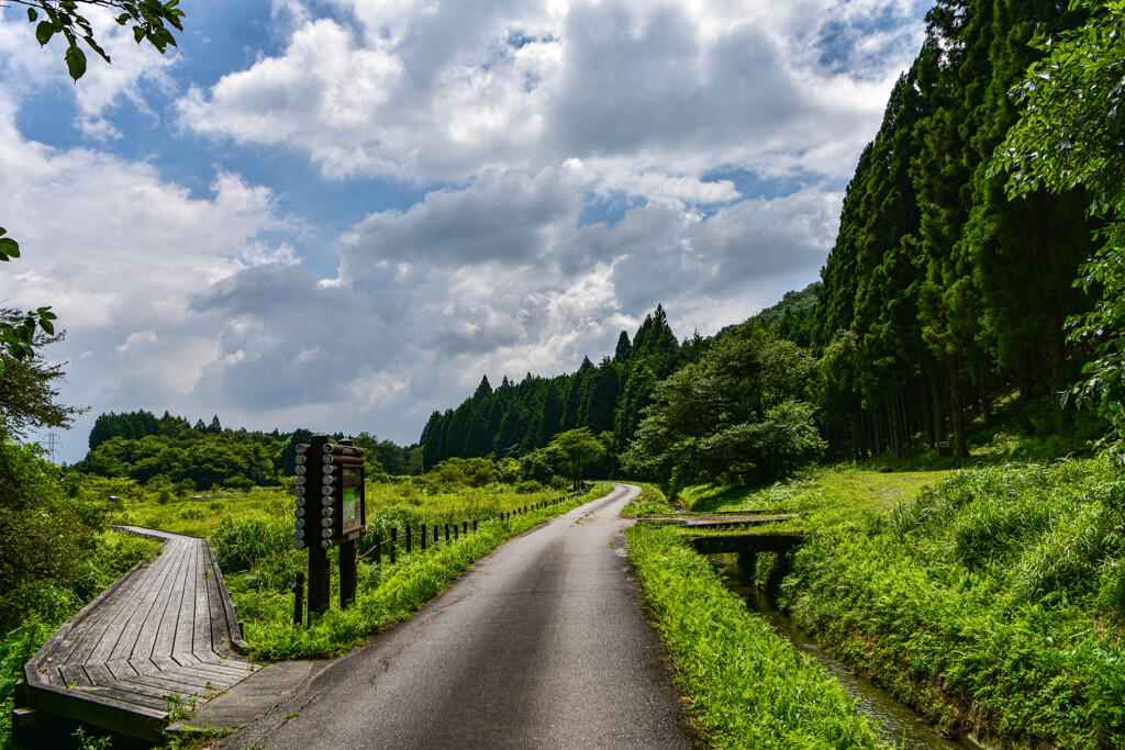 分かれ道