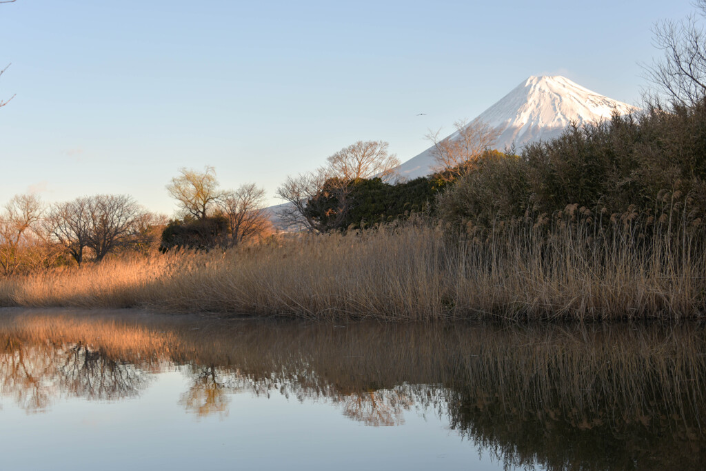 時の流れを追いかける