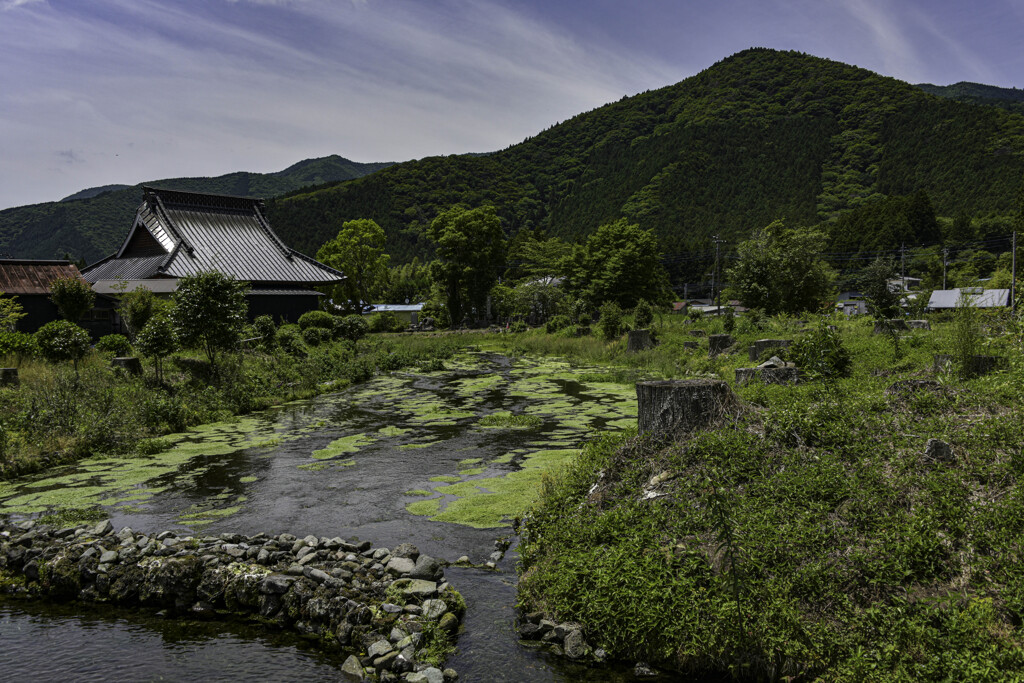 癒しの空間