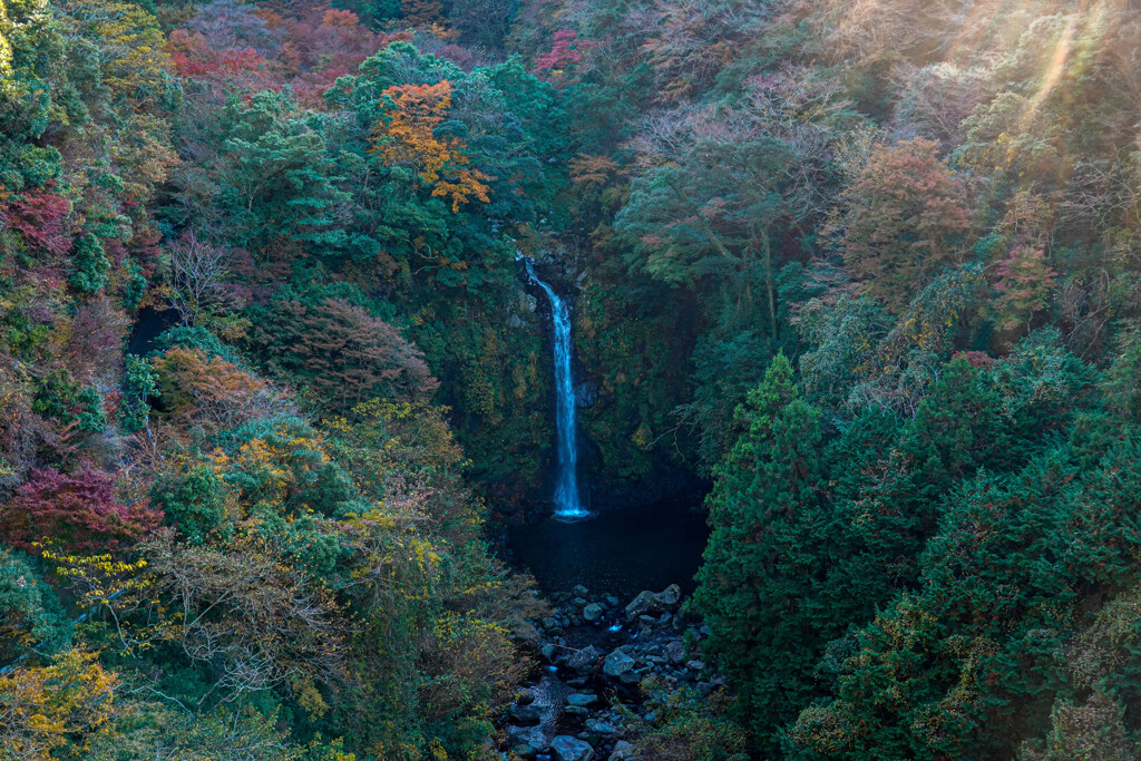 大棚の滝