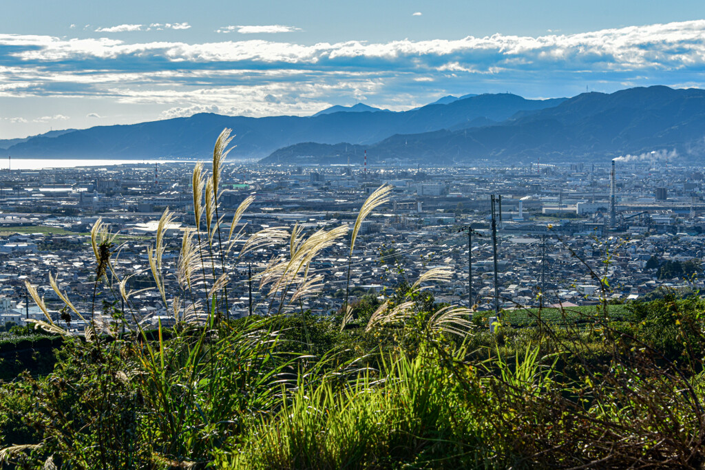 裏山から見た風景