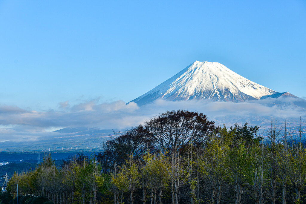 今朝の富士山