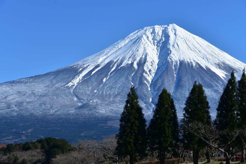 寒さ到来