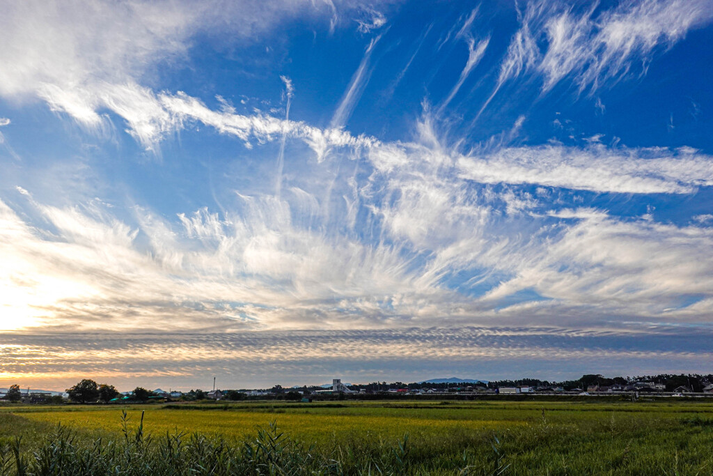 弾ける秋空