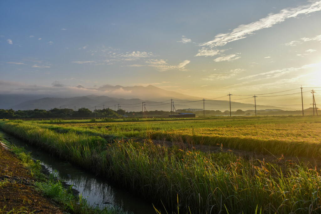 散歩の風景