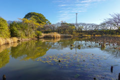 ここで釣りをしないでね